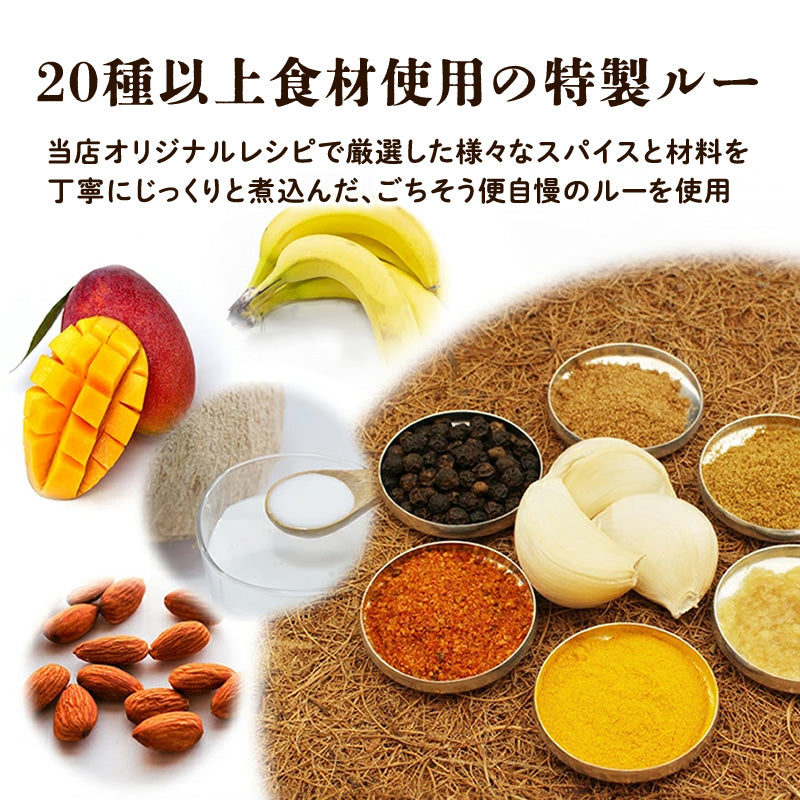 【先着30名：新作お試しキャンペーン】極旨ハンバーグカレー 100g×1パック【送料無料】【常温長期保存】