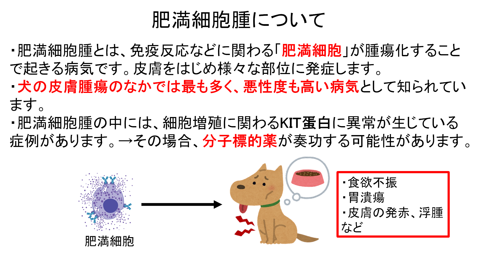 肥満細胞種について