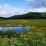 ◆初秋の八島ヶ原湿原 .｡oOの記事画像