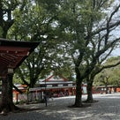 恵さんオススメ、最強恋愛神社へ！！！の記事より