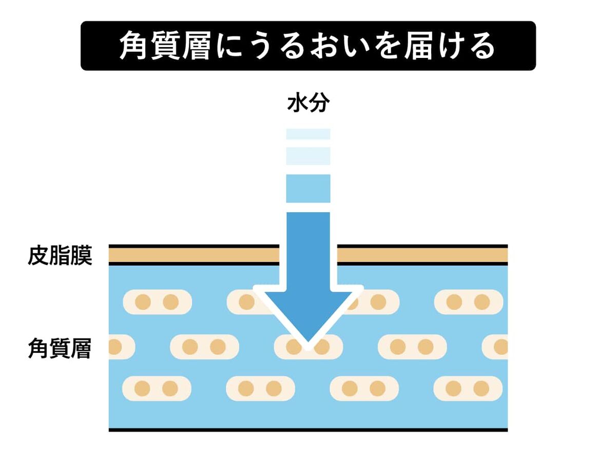 角質の潤いを届ける