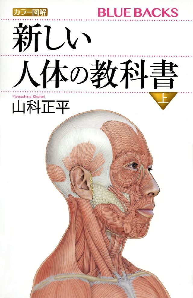 カラー図解 新しい人体の教科書 上