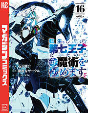 転生したら第七王子だったので、気ままに魔術を極めます（１６）