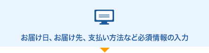 お届け日、お届け先、支払い方法など必須情報の入力