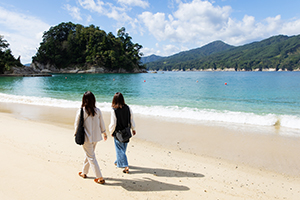 三陸高速バス宮古・気仙沼・仙台線