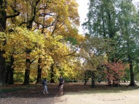 ถึงbun Nasional Shinjuku Gyoen