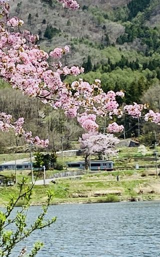 「クミリン」さんからの投稿写真＠中綱湖