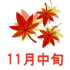 見頃11月中旬