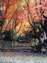 鶏足寺（旧飯福寺）の写真