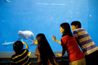 鳥羽水族館の写真