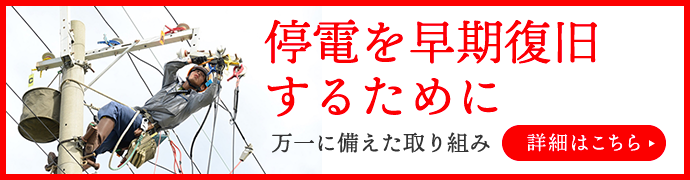 停電を早期復旧するために 万一に備えた取組み 詳細はこちら