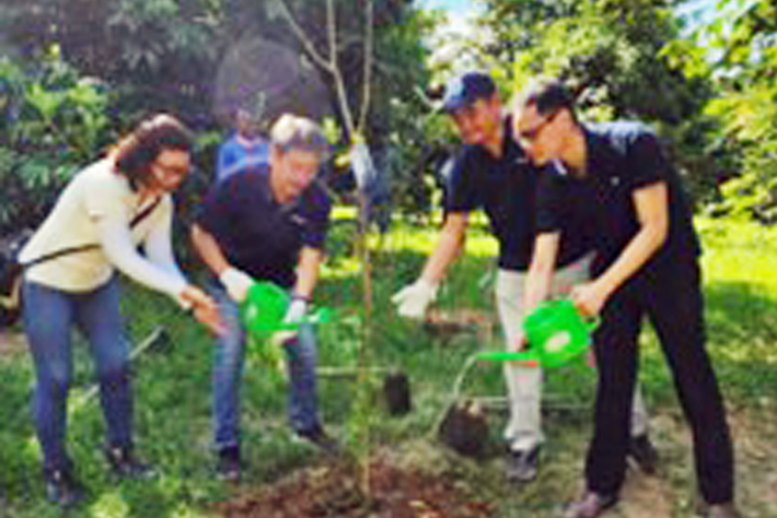 Singapore:50 Trees Planted to Mark World Environment Day and 50th Founding Anniversary of PA