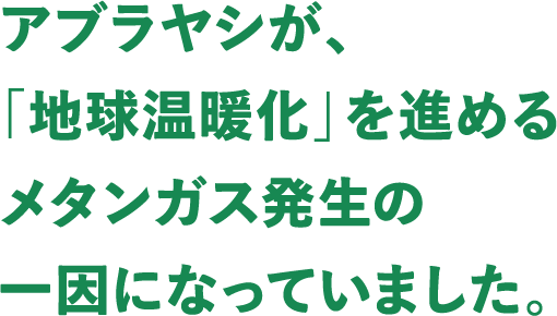 アブラヤシが、「地球温暖化」を進めるメタンガス発生の一因になっていました。