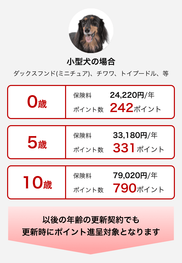 小型犬の場合（ダックスフンド(ミニチュア)、チワワ、トイプードル、等）0歳：保険料24,220円/年 ポイント数242ポイント→5歳：保険料33,180円/年 ポイント数331ポイント→10歳：保険料79,020円/年 ポイント数790ポイント→以後の年齢の更新契約でも更新時にポイント進呈対象となります