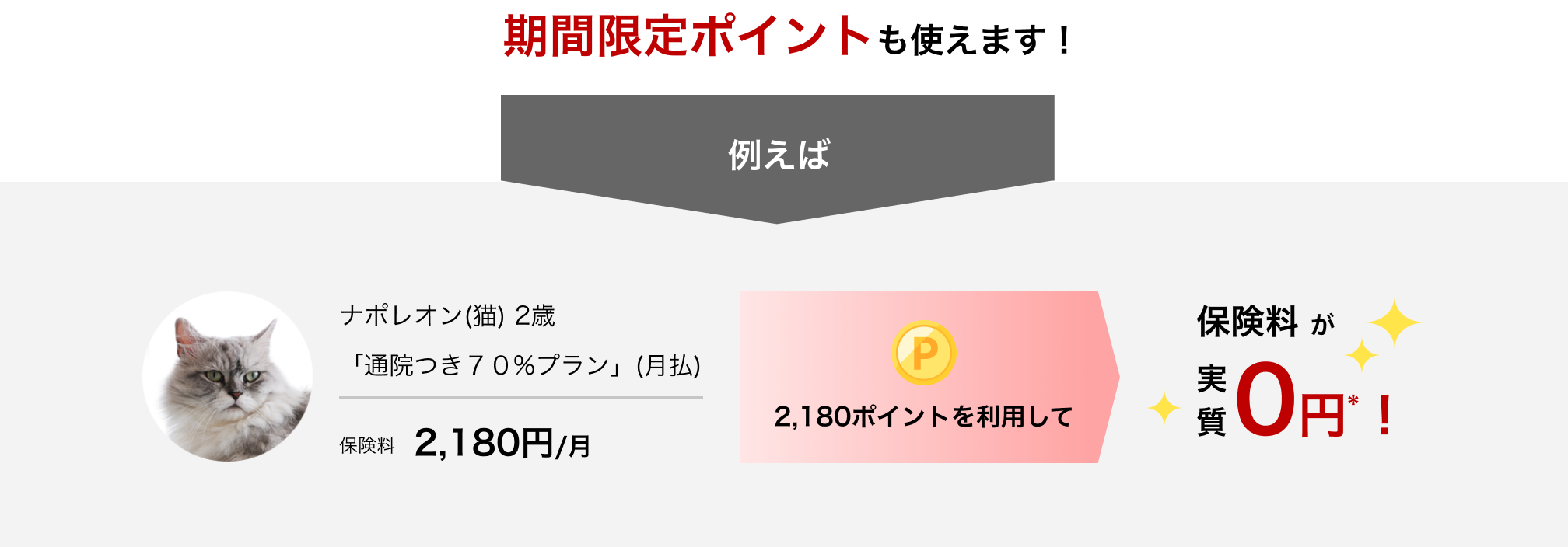 期間限定ポイントも使えます！例えば：ナポレオン(猫)2歳「通院つき７０%プラン」(月払)保険料2,180円/月→2,180ポイントを利用して→保険料が実質0円*！