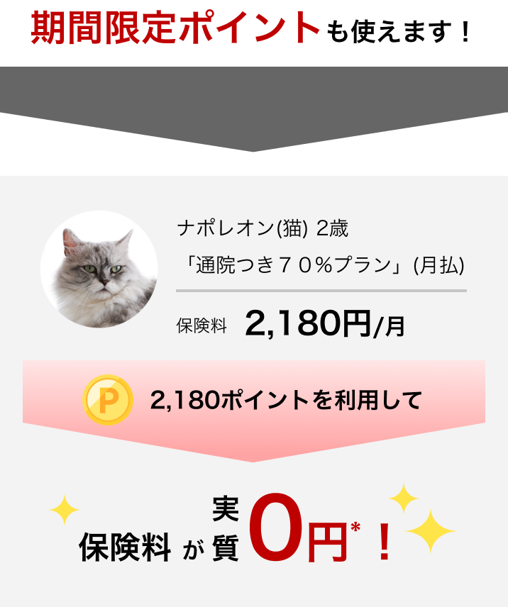 期間限定ポイントも使えます！例えば：ナポレオン(猫)2歳「通院つき７０%プラン」(月払)保険料2,180円/月→2,180ポイントを利用して→保険料が実質0円*！