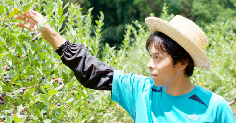 水やりを一際しない『ど根性栽培』（商標登録済）