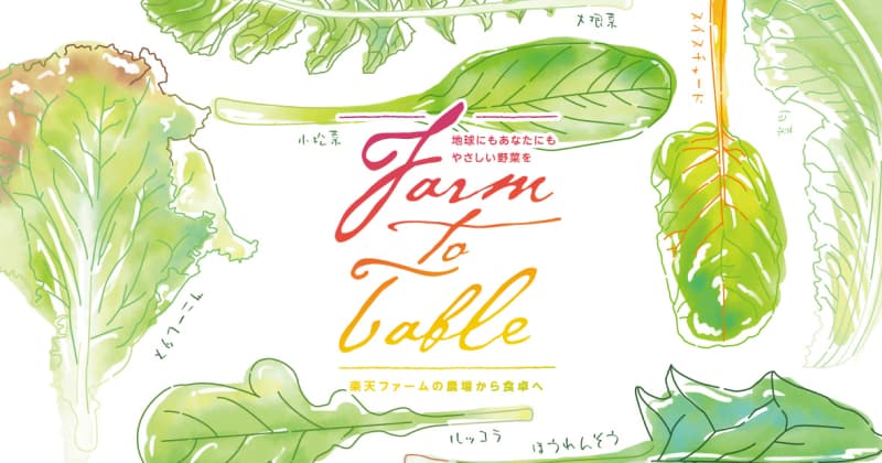 春日和のみぎり 田畑にきためく みずみずしさ Farm to Table Vol.33