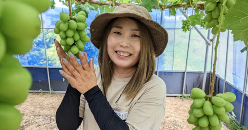 食べる宝石シャインマスカットで内から輝く！抗酸化力で高評価を受ける女性農家のぶどう愛がすごい