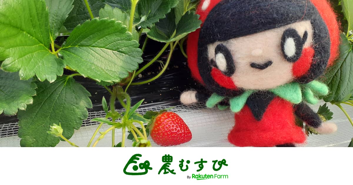 艶めく宝石いちご「モカベリー」！三重県伊賀市のいちご職人が“幸せ咲く美味しさ”に燃えている