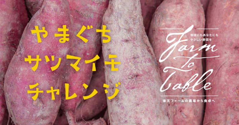 やまぐちサツマイモチャレンジ Farm to Table Vol.53