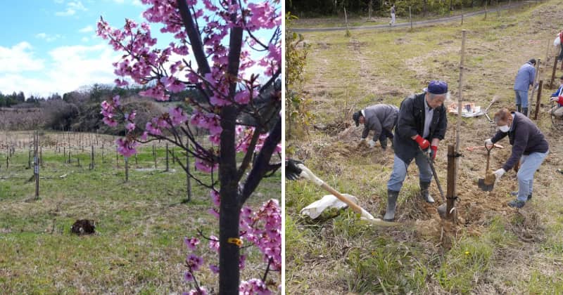 【6】	地域を元気に！「千本桜」と「小松トライアスロン」の立ち上げ