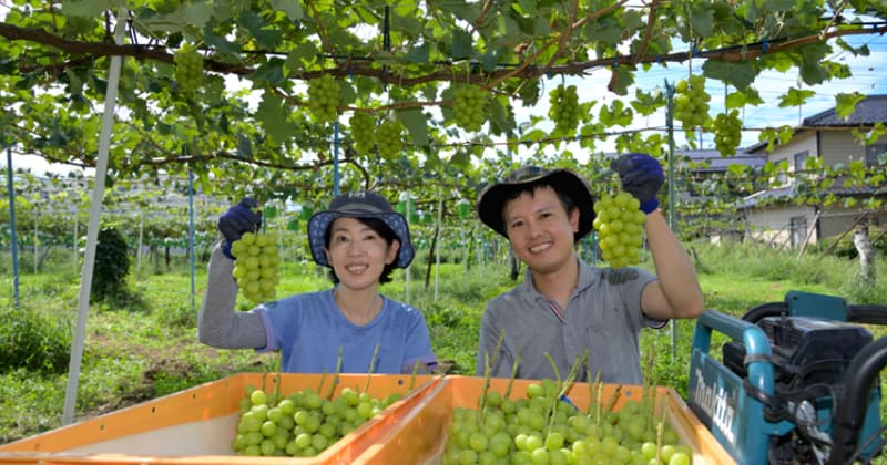 長野トップに輝いたシャインマスカット！夫婦のひたむきな「今」は重なり笑顔が“集う”果物を生む