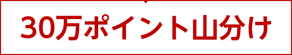 特典2 ID連携完了でポイントGET！30ポイントプレゼント！(先着10万名様)