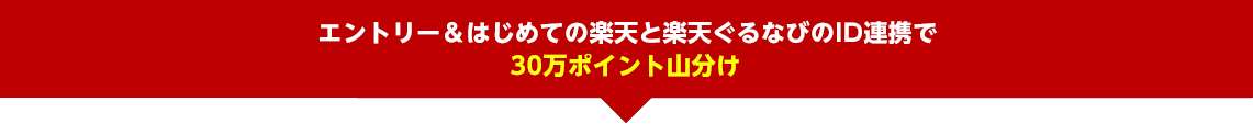 特典2 エントリー＆はじめてのID連携で先着10万名様に30ポイントプレゼント！