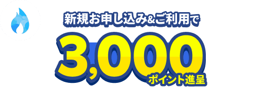 新規お申し込み&ご利用で3,000ポイント進呈