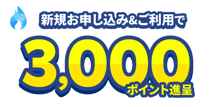 新規お申し込み&ご利用で3,000ポイント進呈