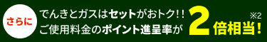 さらにでんきとガスはセットがおトク！！ご使用料金のポイント進呈率が2倍相当!