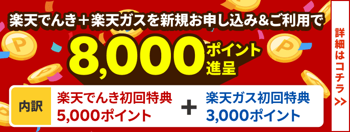 でんきとガス合わせてお申し込み＆ご利用で8,000ポイント！