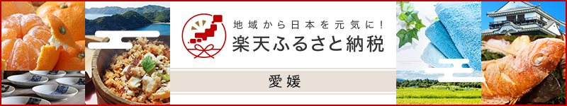 楽天ふるさと納税