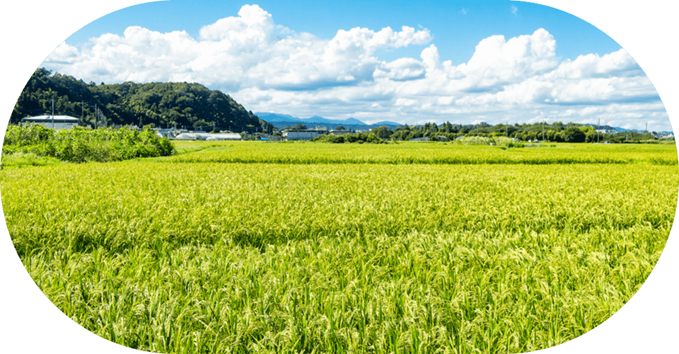 ふるさと納税 画像