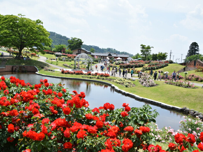 農業体験型観光テーマパーク「アグリランドむらやま」村山市のすべてをテーマパークにしたい！