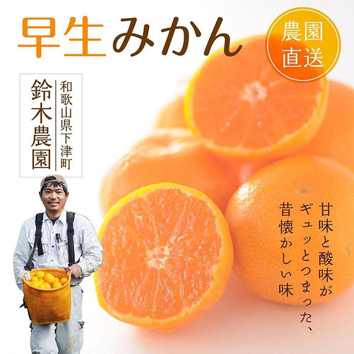 早生みかん3kg入り　SS又はSいずれかのサイズ　鈴木農園から農園直送！【北海道・沖縄・一部離島への配送不可】