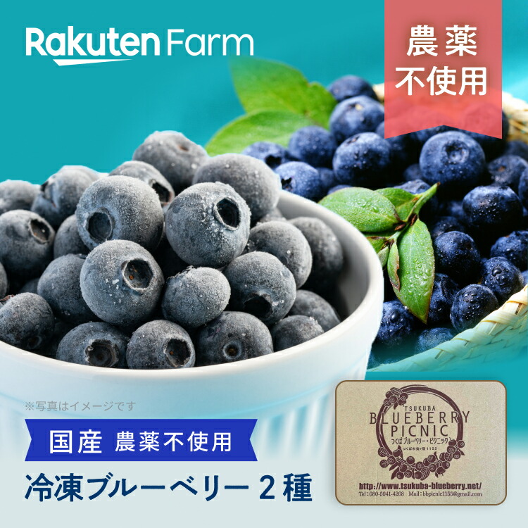 【冷凍】茨木県産　ブルーベリー2種食べ比べセット 250g×2パック｜つくば・ブルーベリー・ピクニック