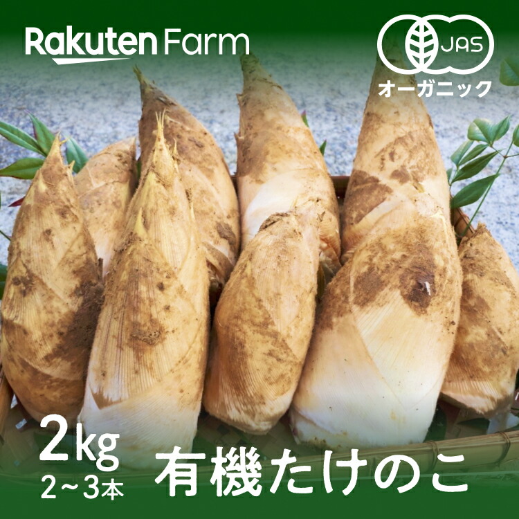 【限定50箱】　送料無料　有機たけのこ　いきいきたけのこ東山　石川県小松市　柔らかくて豊かな香り　楽天ファームこだわり農家直送