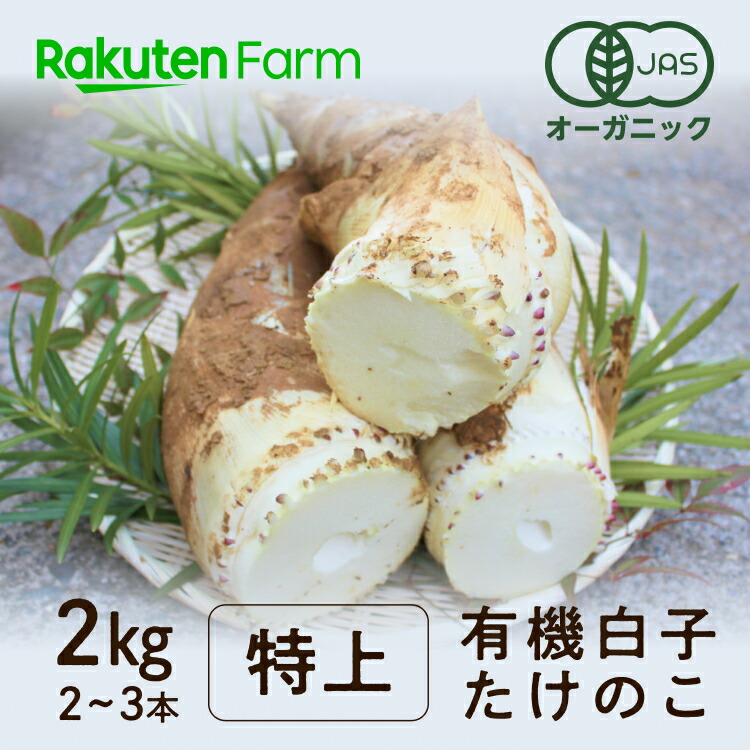 【限定50箱】送料無料　白子たけのこ　色白美人　有機たけのこ　いきいきたけのこ東山　石川県小松市　柔らかくて豊かな香り　たけのこ特上品　楽天ファームこだわり農家直送