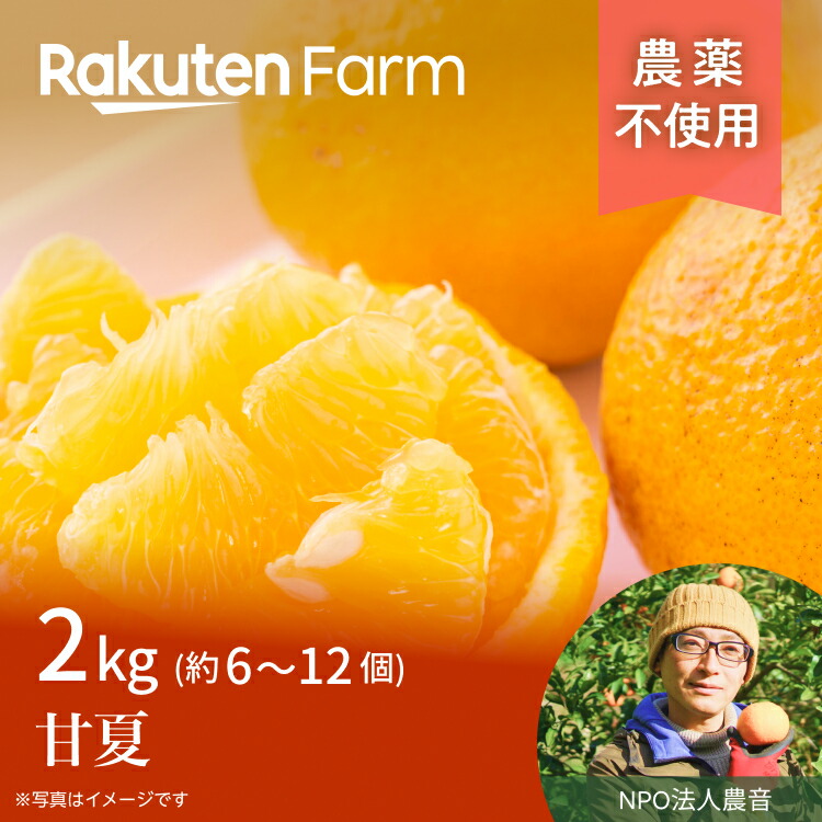 【予約】 農薬不使用 愛媛県産甘夏2kg ★3月～4月頃お届け予定★ スッキリとした甘さとほろ苦さ 楽天ファームこだわり農家直送　 NPO法人農音