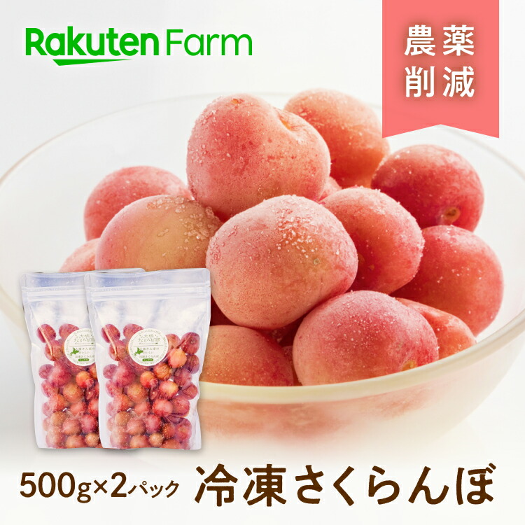 【無添加】国産冷凍さくらんぼ約1kg(500g×2パック) ★日時指定可・最短4日で発送★ 北海道芦別市産の赤玉サクランボ 佐藤錦・紅秀峰・南陽・勝錦・平和錦をミックス 化学肥料・防腐剤・保存料不使用 大橋さくらんぼ園 楽天ファームこだわり農家直送