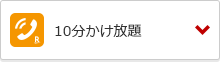 10分かけ放題