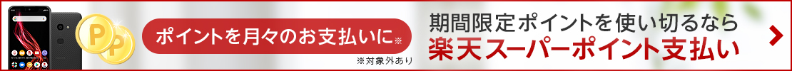 楽天ポイント支払い