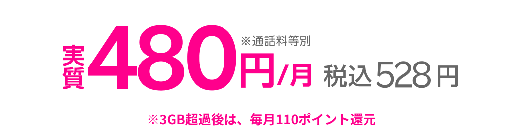 実質480円 税込528円 ※3GB超過後は、毎月110ポイント還元