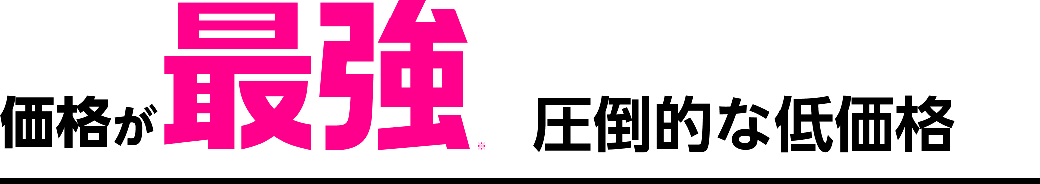 価格が最強※ 圧倒的な低価格