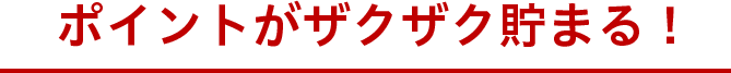 ポイントがザクザク貯まる！