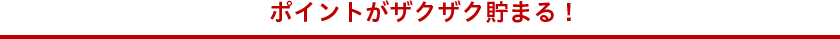 ポイントがザクザク貯まる！