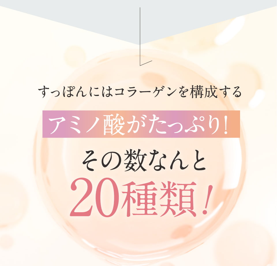 すっぽんにはコラーゲンを構成するアミノ酸がたっぷり！その数なんと20種類！