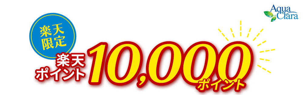 楽天ポイント10,000ポイント